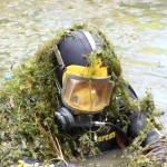 Aquatic_weed_risk_assessments