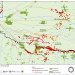 sagittaria_high_risk_pathway - condensed